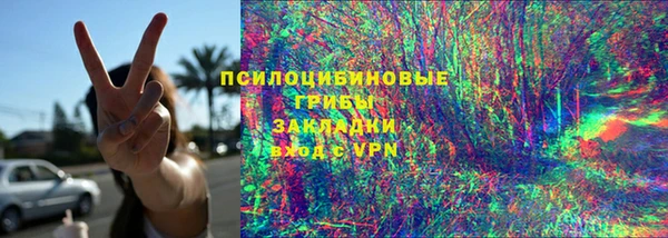 прущие грибы Арсеньев