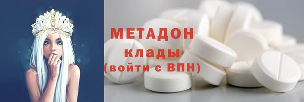 прущие грибы Арсеньев