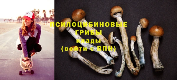 mix Алексин