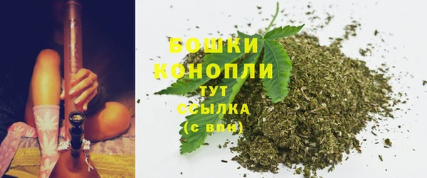 прущие грибы Арсеньев