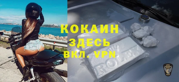 прущие грибы Арсеньев