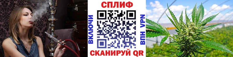Шишки марихуана MAZAR  Лахденпохья 
